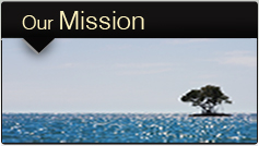mission